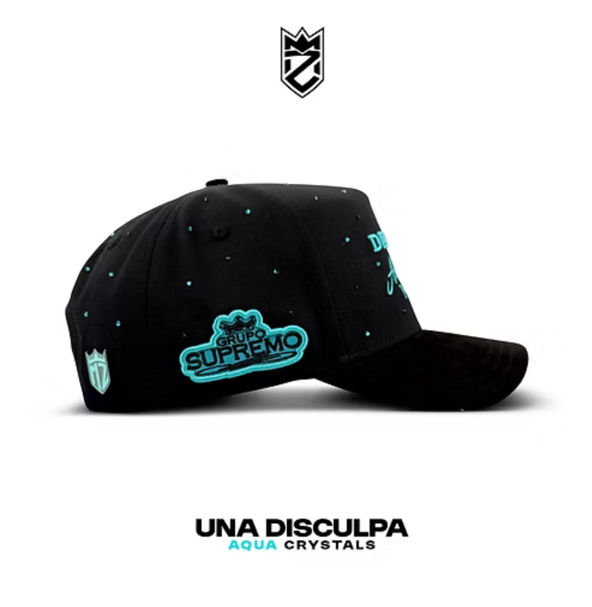 Una Disculpa Para Absolutamente Nadie BLK Aqua Snapback