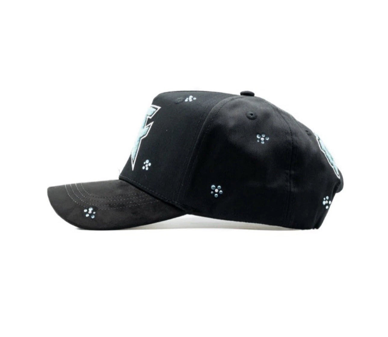 DANDY x CANELO Tiffani Snapback