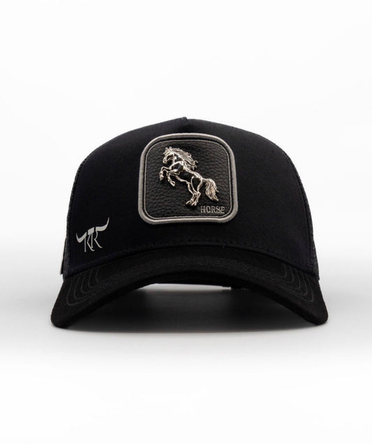 Horse estilo ranchero